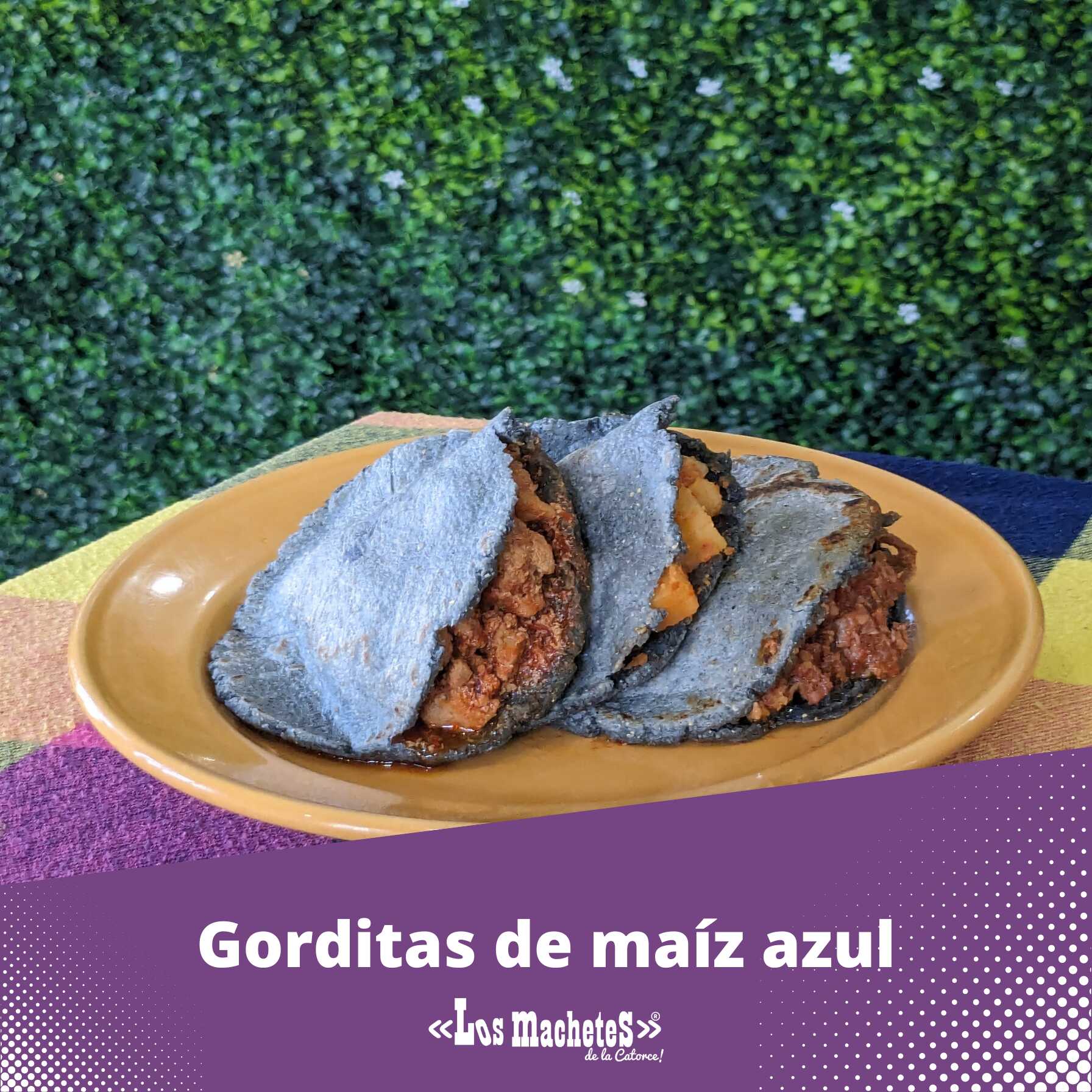 Gordita Azul