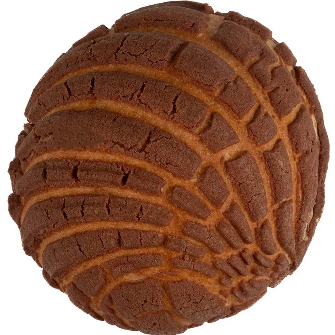 Concha chocolate