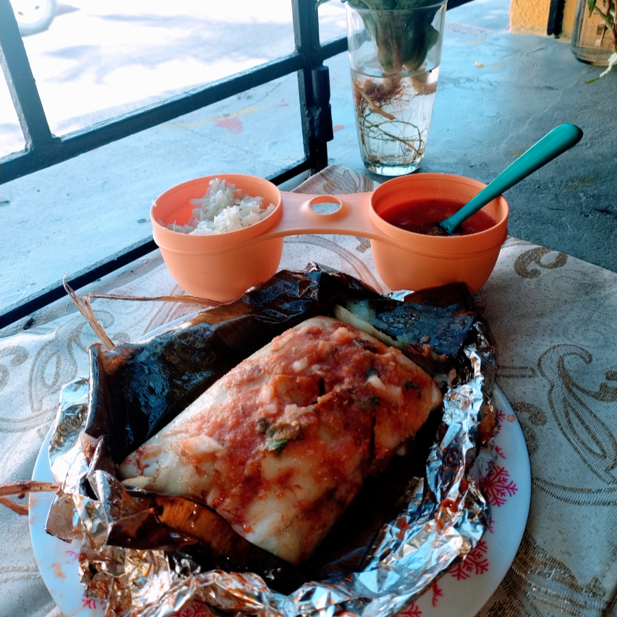 Tamal de Masa Colada de Pollo