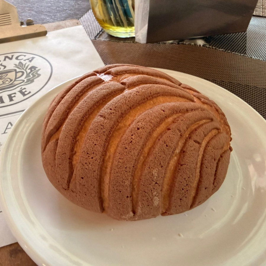 Concha de Chocolate