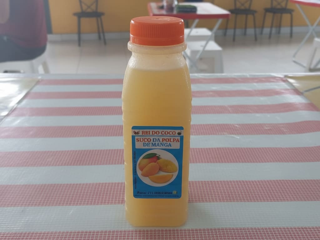 Suco de Polpa de Manga 300ml