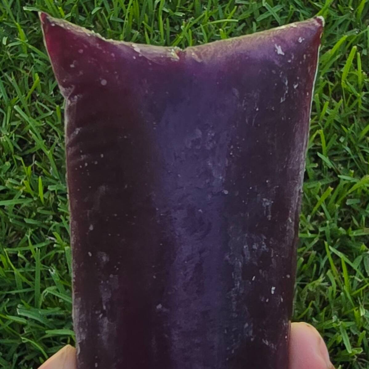 Uva