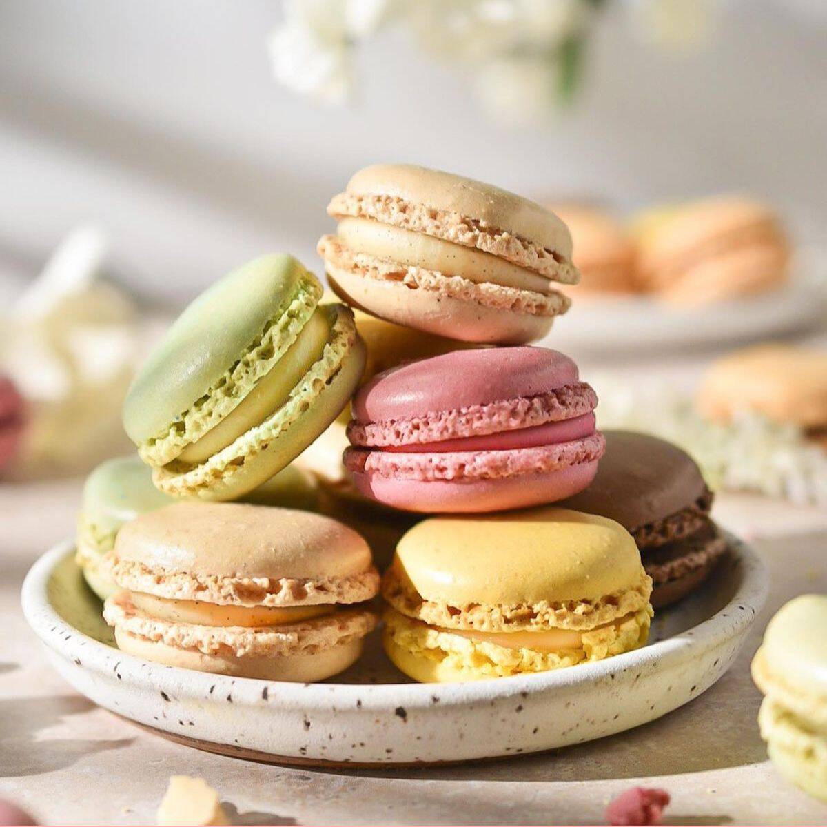 Macaroon 1 Pz