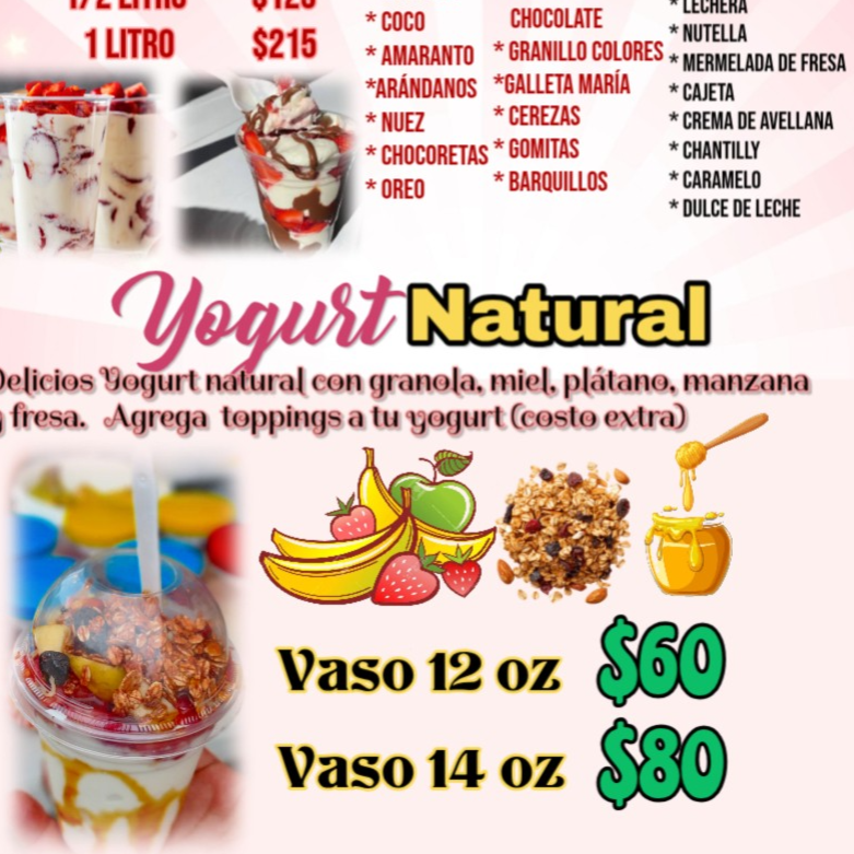 Yogurt Natural