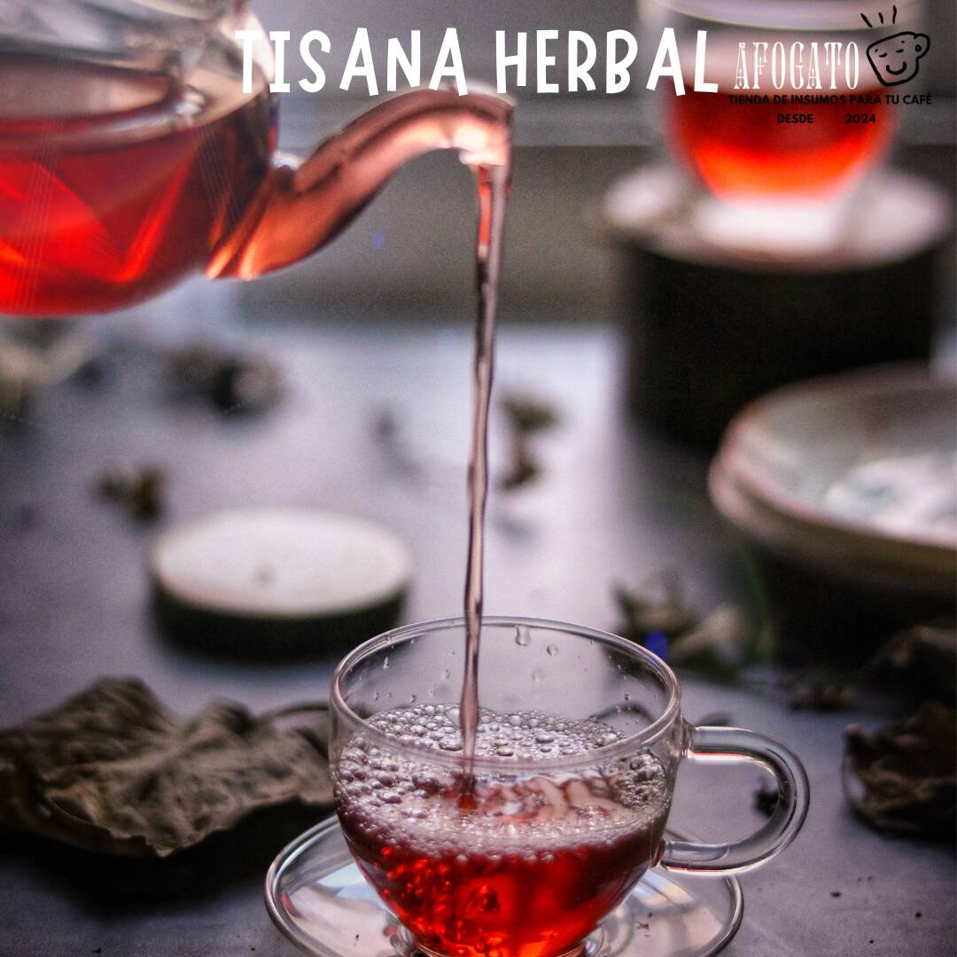 Tisana Caliente 12 Oz