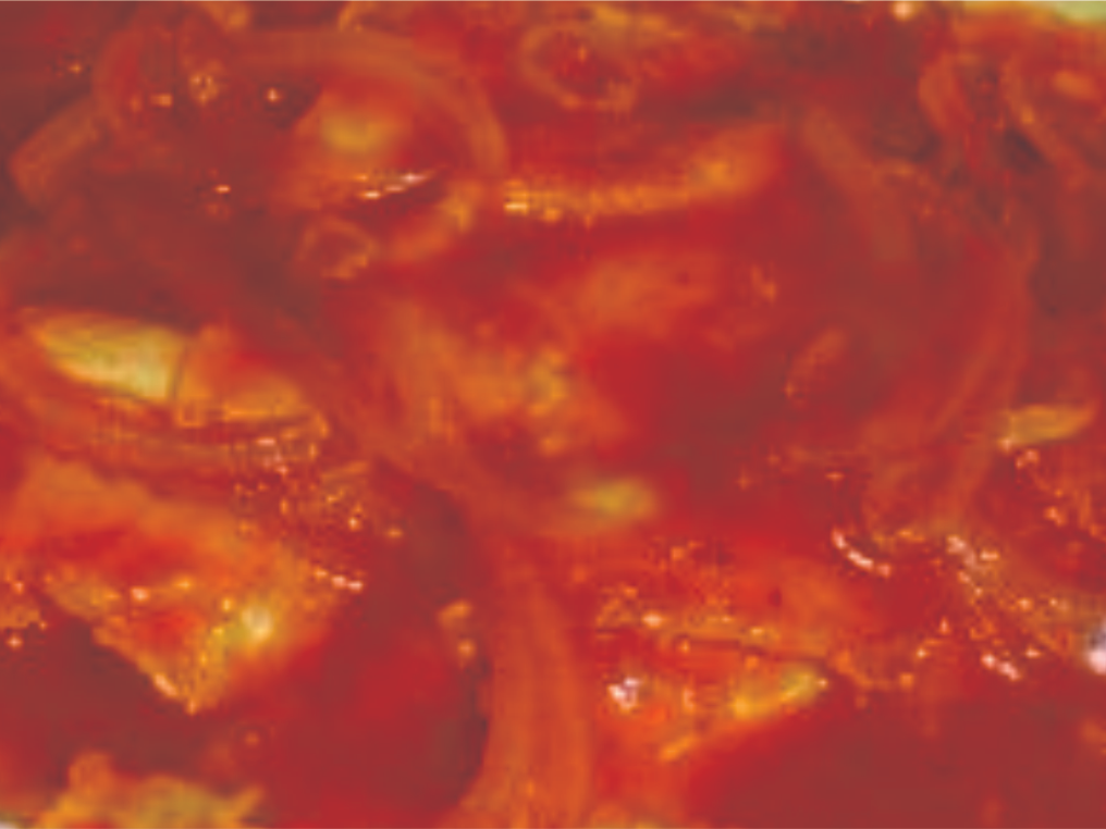 Filete a la Diabla