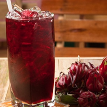 Agua Fresca de Jamaica 500 ml