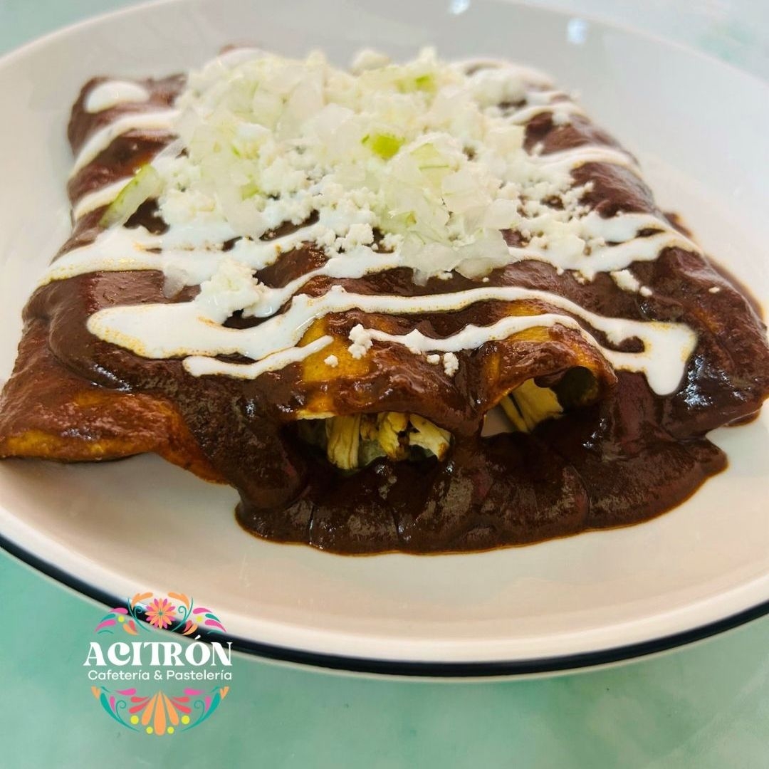 Enchiladas Pollo Mole de Actopan