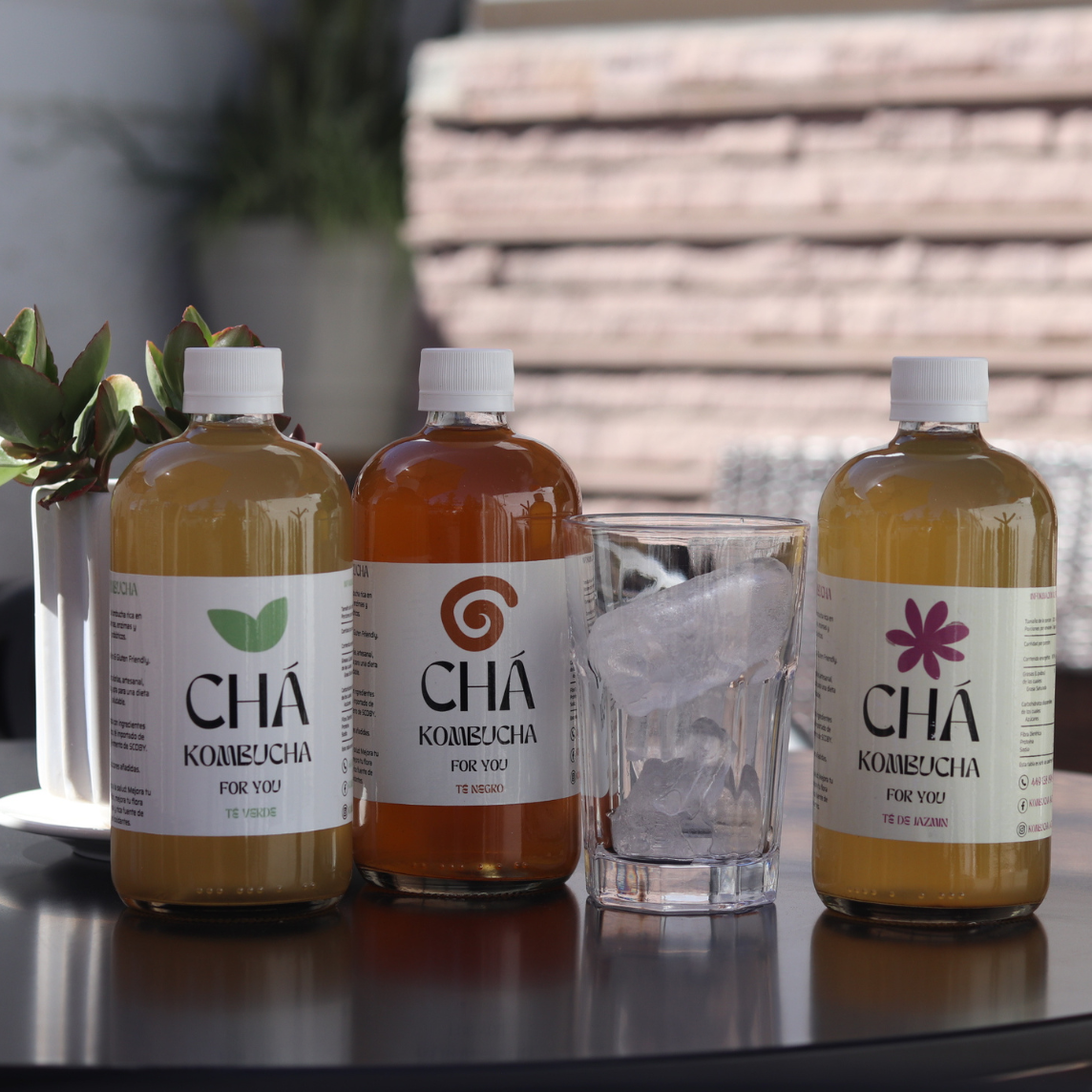 Cha Kombucha